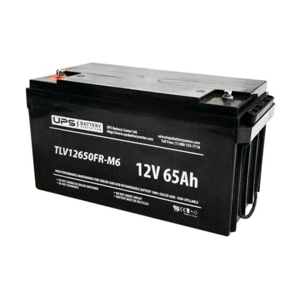 Battery: Vision 6FM65-X FM Series Valve Regulated Rechargeable Battery (12V/65Ah)